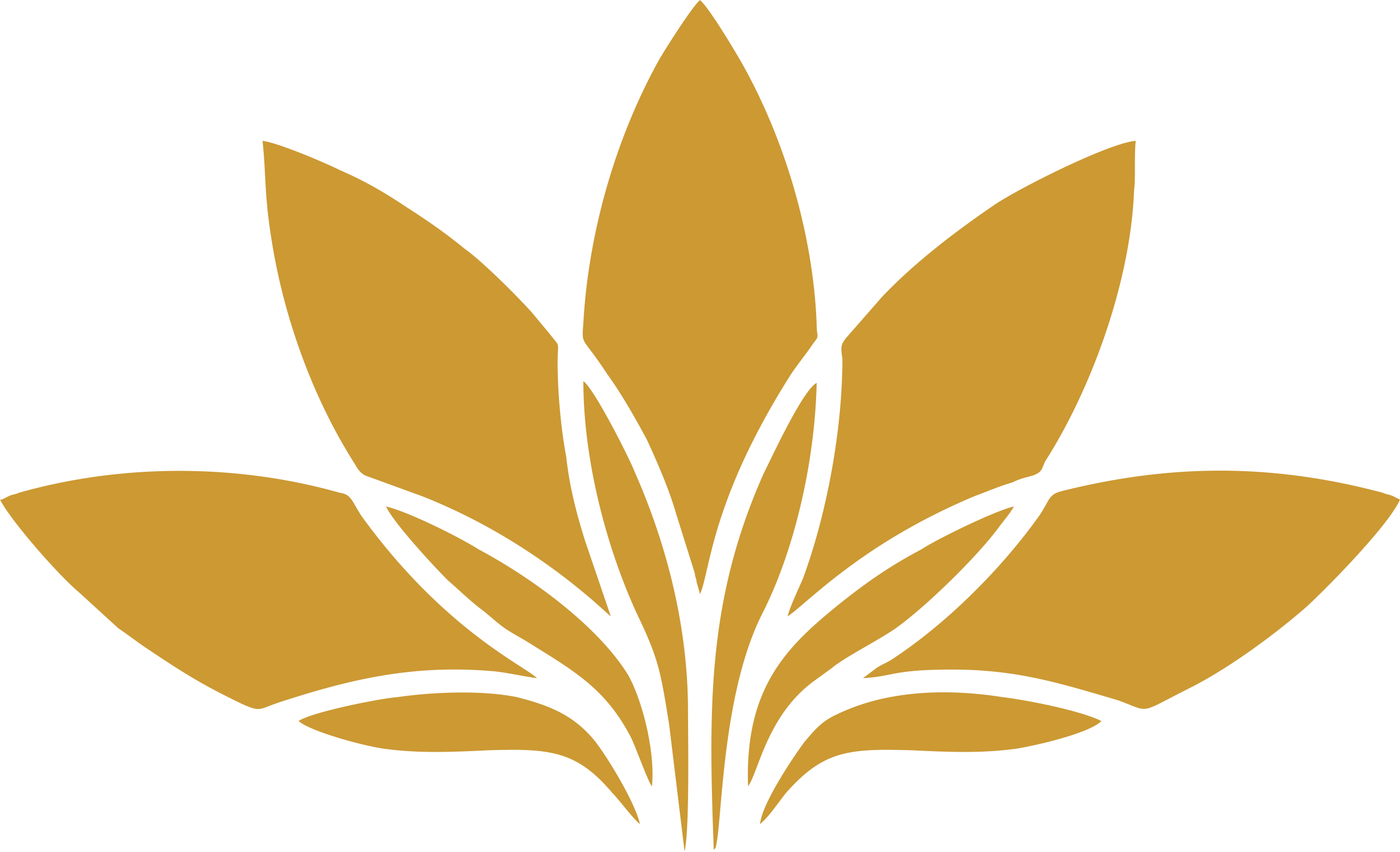 LOGO VILLA MEKAR FLOWER